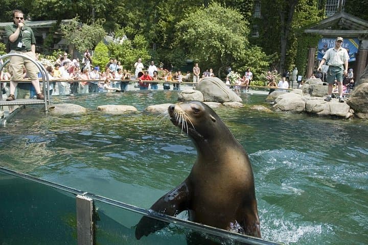 One-Day New York Walking Tour: 30 Top Sights + Central Park Zoo photo 2