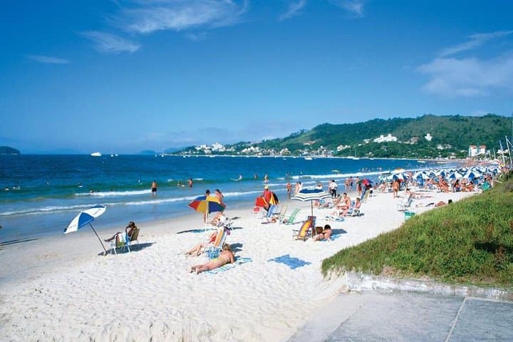 Floripa Total: Full-Day Scenic Tour of Florianópolis — Beaches, Lagoa & TAMAR photo 6