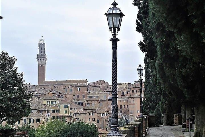Siena and San Gimignano Day Trip from Florence: Medieval Towns, Wine & Views photo 5