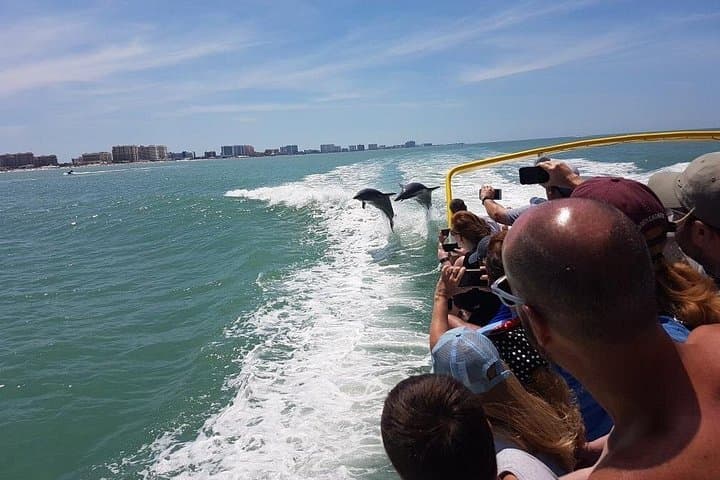 Sea Screamer Speedboat Cruise and Clearwater Beach Day Trip photo 3