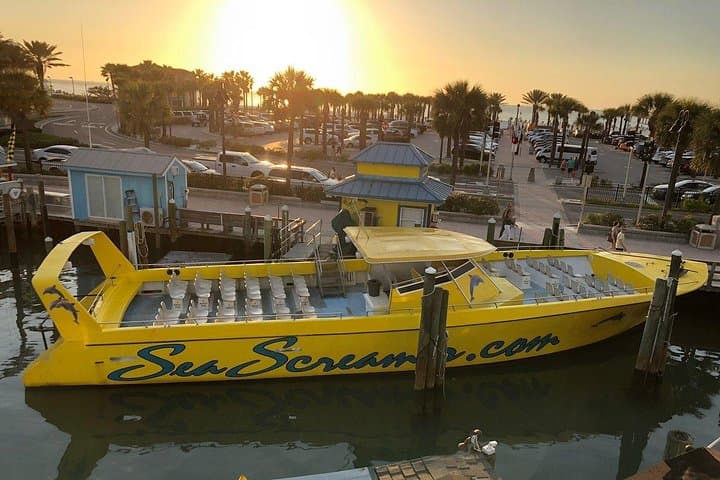 Sea Screamer Speedboat Cruise and Clearwater Beach Day Trip photo 4