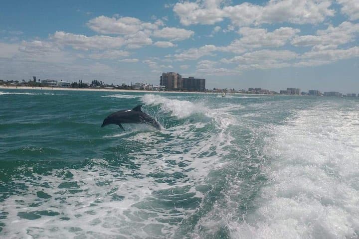 Sea Screamer Speedboat Cruise and Clearwater Beach Day Trip photo 5