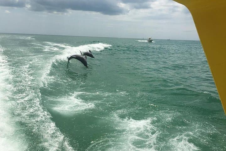 Sea Screamer Speedboat Cruise and Clearwater Beach Day Trip photo 6
