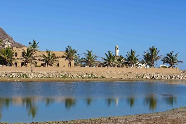 Dhofar West Coast Odyssey: Mughsail, Marneef & Rakhyut — Beaches, Blowholes and 800m Cliffs photo 4