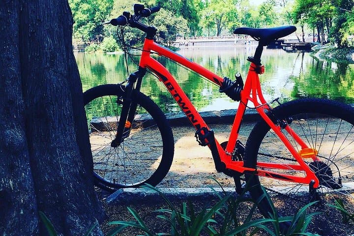 Polanco & Chapultepec Bike Tour: Urban Cycling Through Mexico City's Green Heart
