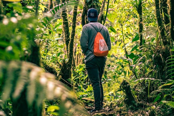 Cloud Forest Hike at Juan Castro Blanco National Park — Quetzals, Headwaters & High-Altitude Trails photo 6