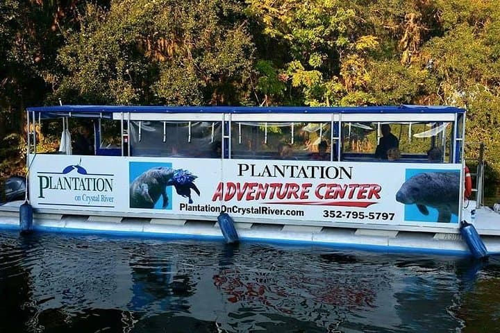 Kings Bay Sunset Cruise in Crystal River: Evening Wildlife & Coastal Views photo 4