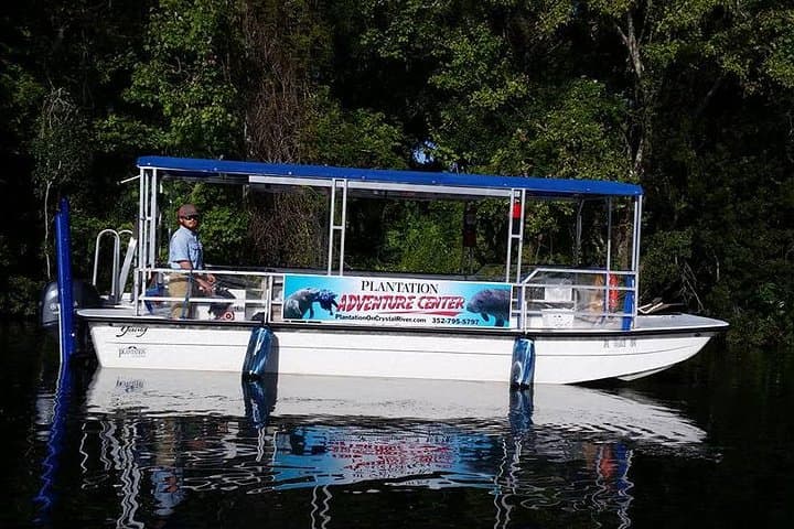 Kings Bay Sunset Cruise in Crystal River: Evening Wildlife & Coastal Views photo 5