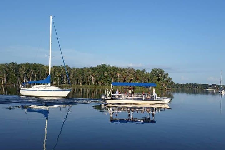 Kings Bay Scenic Cruise: Crystal River Manatee-Watching Boat Tour photo 5
