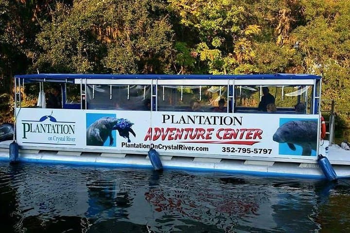Kings Bay Scenic Cruise: Crystal River Manatee-Watching Boat Tour photo 6