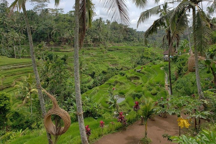 Full-Day Bali Holy Water & Rice Terrace Tour: Tirta Empul, Waterfalls & Local Crafts photo 5