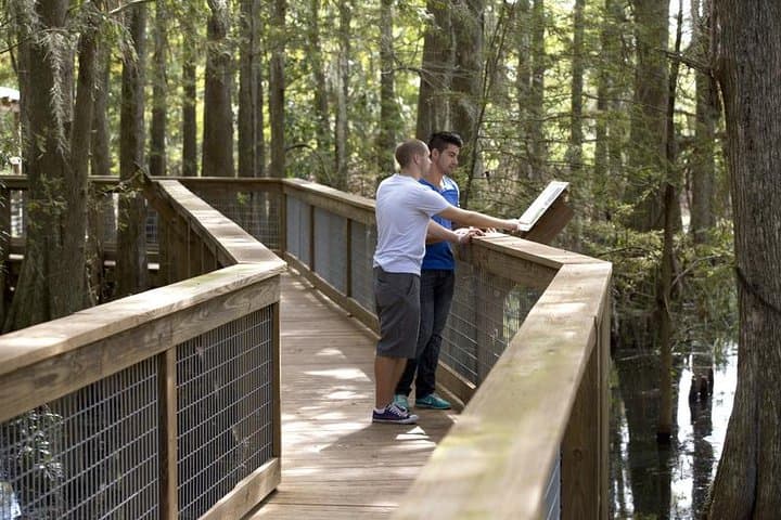 Wild Florida Airboat Adventure from Orlando — Airboat Ride, Gator Park & BBQ photo 4