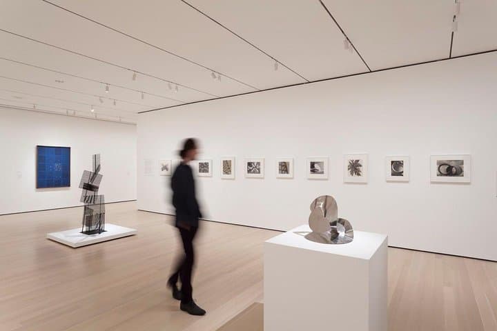 Wall Street to MoMA: Manhattan Walking Tour & Museum Visit photo 3