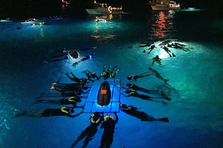 Big Island Manta Ray Night Snorkel — Kona Night Dive With Giant Mantā photo 4