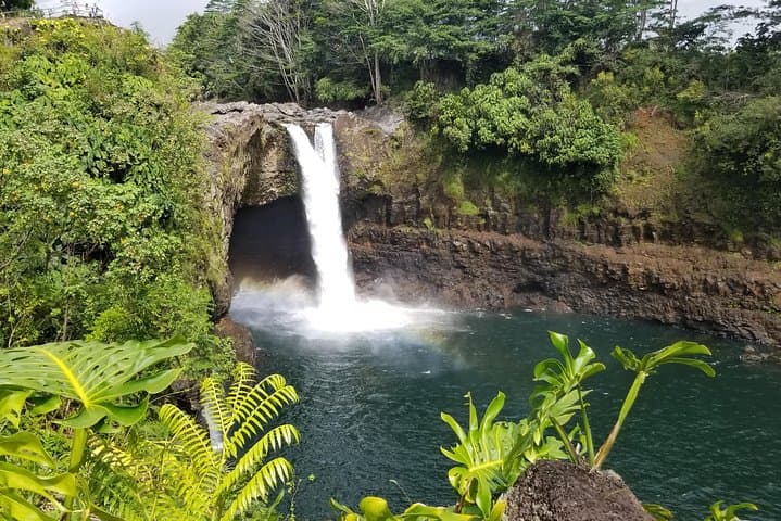 Exploring the Majestic Waterfalls of Hawaii’s Hamakua Coast: A Scenic 3–4 Hour Adventure photo 2