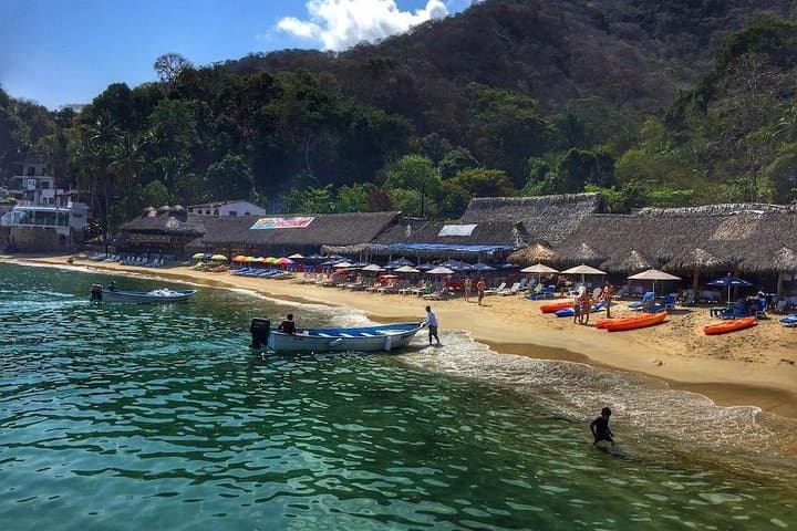 South Shore Private Cruise — Snorkel Los Arcos & Beach at Las Animas, Puerto Vallarta photo 3