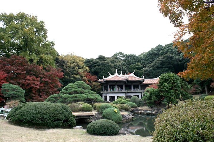 Custom Tokyo Private Tour — Choose 4 Destinations with a Local Guide photo 2