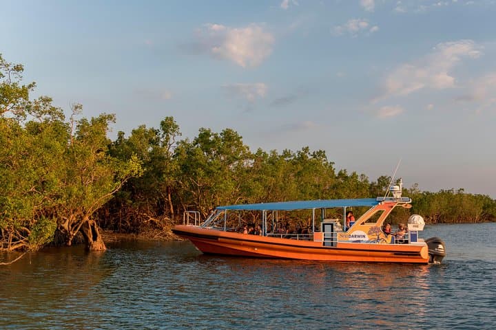 Discover Darwin Harbour: 1-Hour Eco Cruise with Tiwi Storytelling photo 4