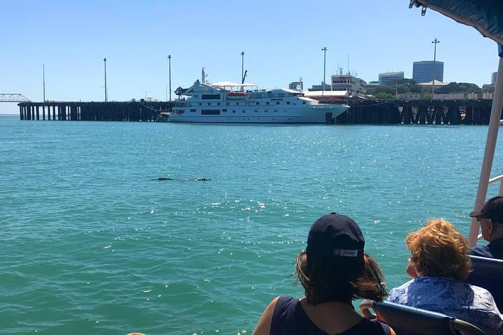 Discover Darwin Harbour: 1-Hour Eco Cruise with Tiwi Storytelling photo 5