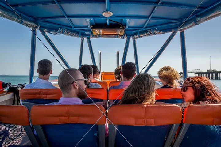 Discover Darwin Harbour: 1-Hour Eco Cruise with Tiwi Storytelling photo 6