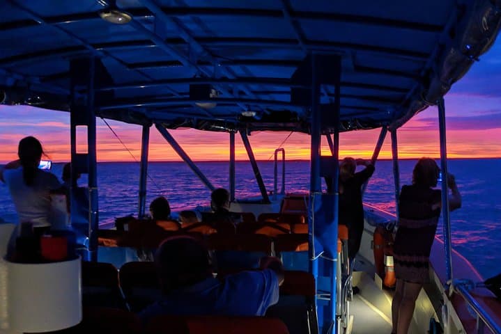 Darwin Sunset Cruise with Fish ’n’ Chips — Darwin Harbour Evening Cruise photo 5