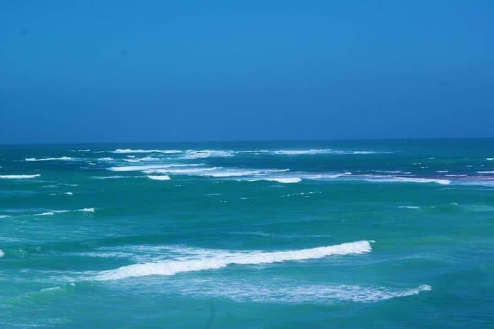 Cape Agulhas Full-Day Tour to Africa’s Southernmost Point photo 5