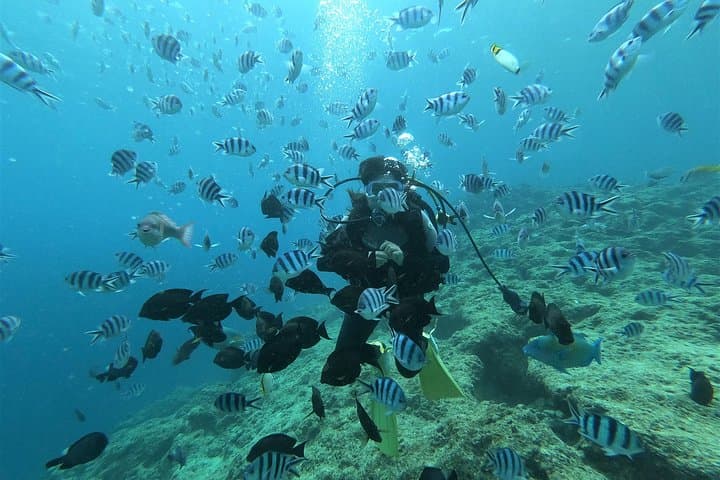 Blue Cave Experience Diving at Cape Maeda, Okinawa — Private Instructor, Fish Feeding & Photos photo 2