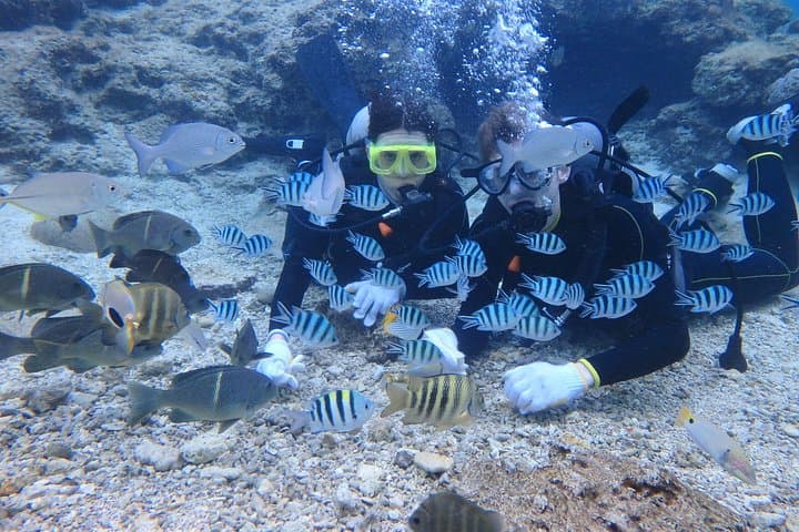 Blue Cave Experience Diving at Cape Maeda, Okinawa — Private Instructor, Fish Feeding & Photos photo 6