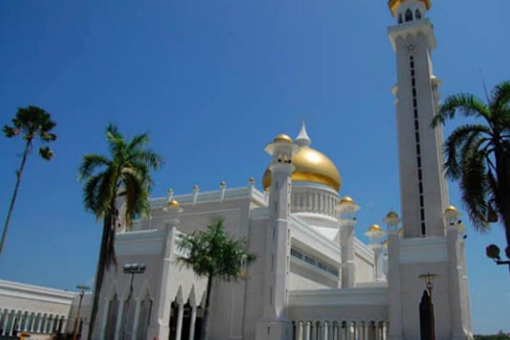 Brunei Full-Day: Bandar Seri Begawan Water Village & Mangrove Safari photo 2