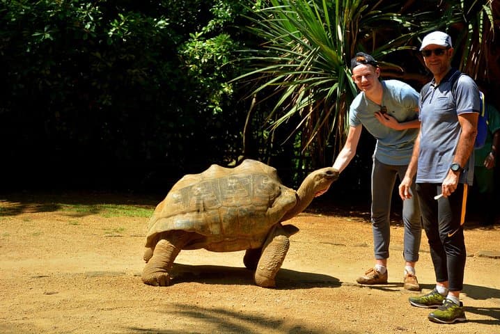 Discovery Tour 35km: Quad Along Gris-Gris Cliffs, Rochester Falls & Crocodile Park (Mauritius) photo 3