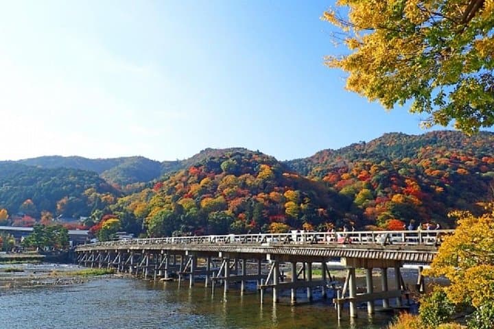 Kyoto Private Full-Day Chartered Taxi Tour: Temples, Bamboo Groves & Shrines photo 4