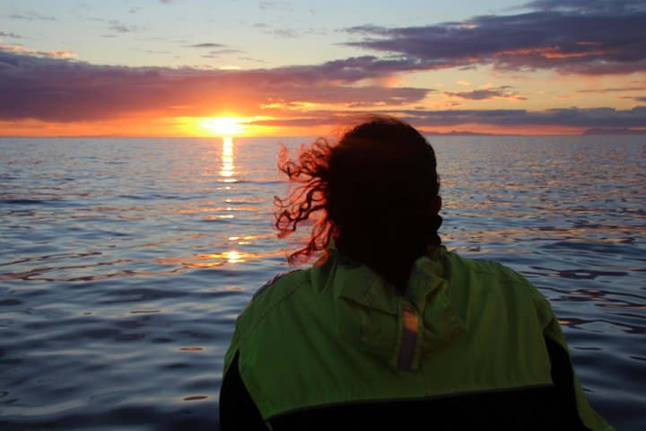 Midnight Sun Whale Watching from Reykjavik: Evening Whale Tours in Faxaflói Bay