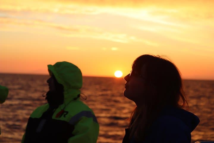 Midnight Sun Whale Watching from Reykjavik: Evening Whale Tours in Faxaflói Bay photo 2