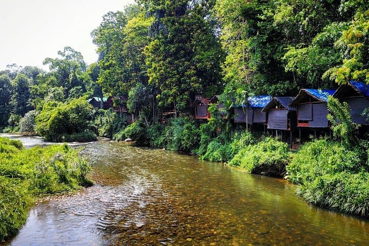 7-Day Off-the-Beaten Nature & Wildlife Tour in Sri Lanka photo 3