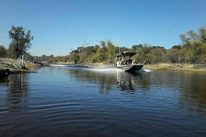 Chiefs Island Day Trip from Maun — Full-Day Okavango Boat Safari & Game Walk