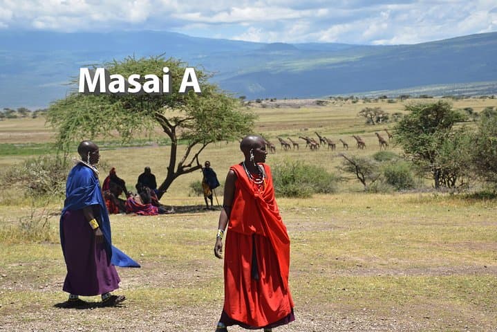 5-Day Budget Camping Safari in Tanzania's Northern Circuit — Manyara, Serengeti & Ngorongoro