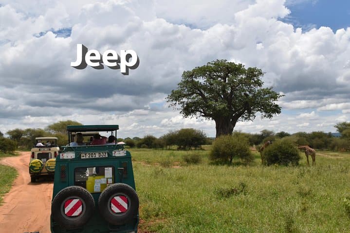 5-Day Budget Camping Safari in Tanzania's Northern Circuit — Manyara, Serengeti & Ngorongoro photo 6