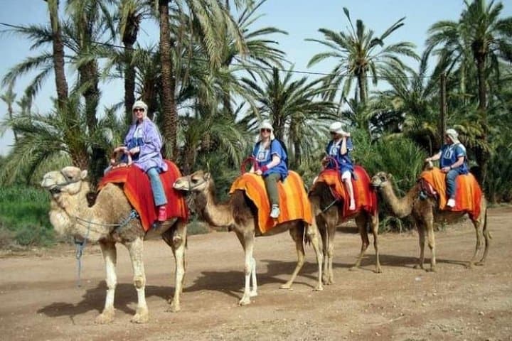 Camel Ride in Marrakech Palmeraie — 3-Hour Palm Grove Excursion photo 2