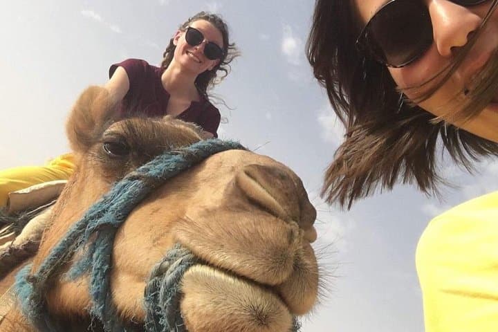 Camel Ride in Marrakech Palmeraie — 3-Hour Palm Grove Excursion photo 4