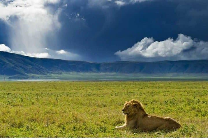 Ngorongoro Crater Day Trip: Big Five Safari from Arusha
