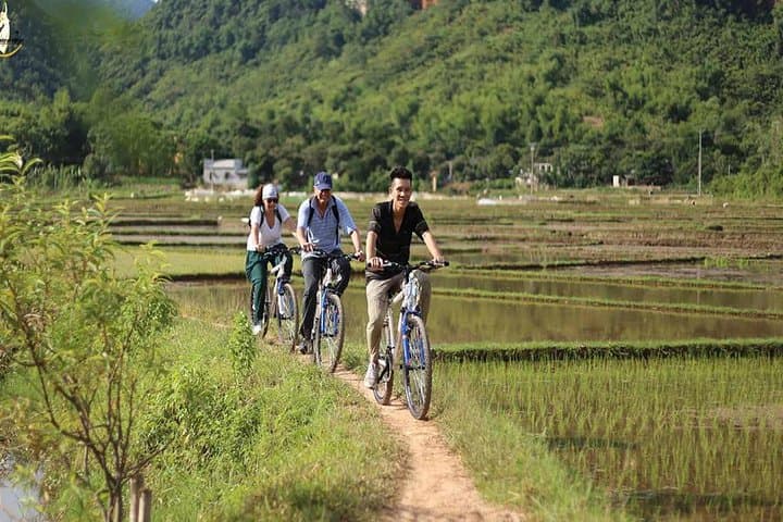 Ninh Binh Day Tour: Hoa Lu, Mua Cave, Tam Coc & Trang An Boat Trips photo 6