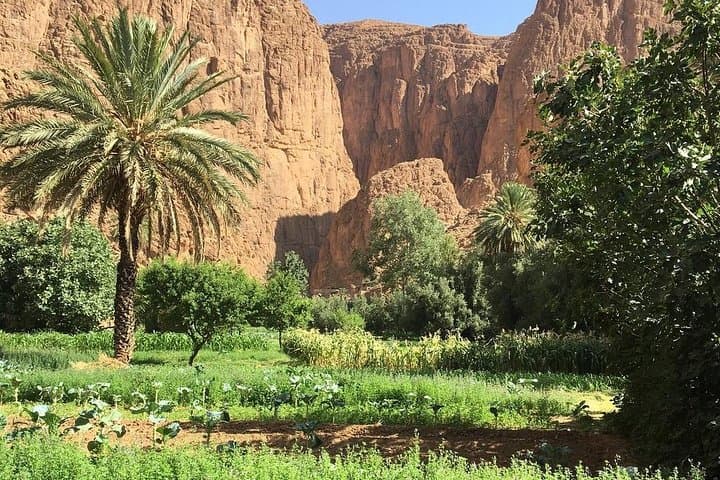 Three Valleys Day Trip from Marrakech: Ourika, Kik Plateau & Atlas Views