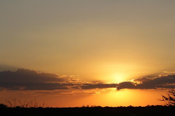 Moremi Game Reserve Safari: 8-Day Okavango & Chobe Cheetah Package from Maun photo 3