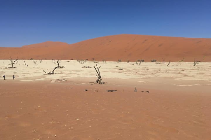 3-Day Camping Safari at Sossusvlei: Dunes, Deadvlei & Sesriem