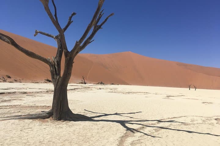 3-Day Camping Safari at Sossusvlei: Dunes, Deadvlei & Sesriem photo 4
