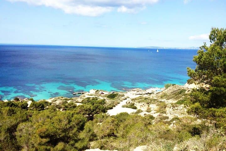 Mallorca Snorkeling in a Protected Marine Reserve — Guided 3-Hour Tour from Palma photo 2