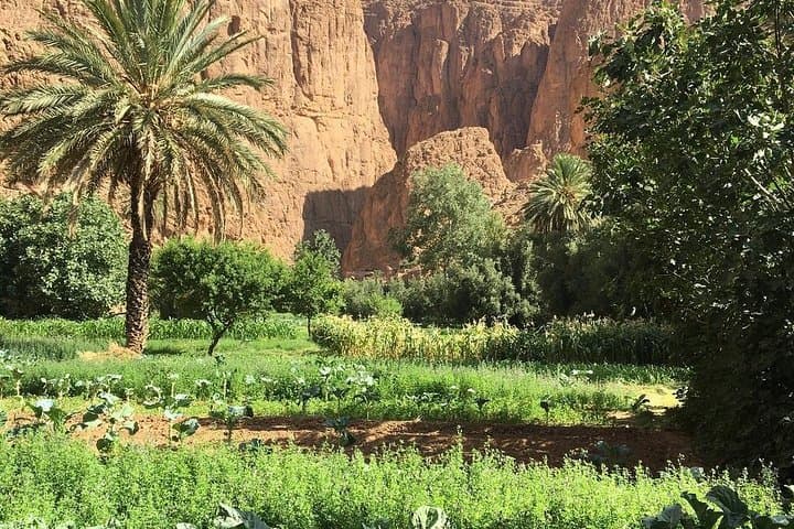 3 Valleys Excursion From Marrakech: Ourika Valley and Kik Plateau Day Trip photo 5