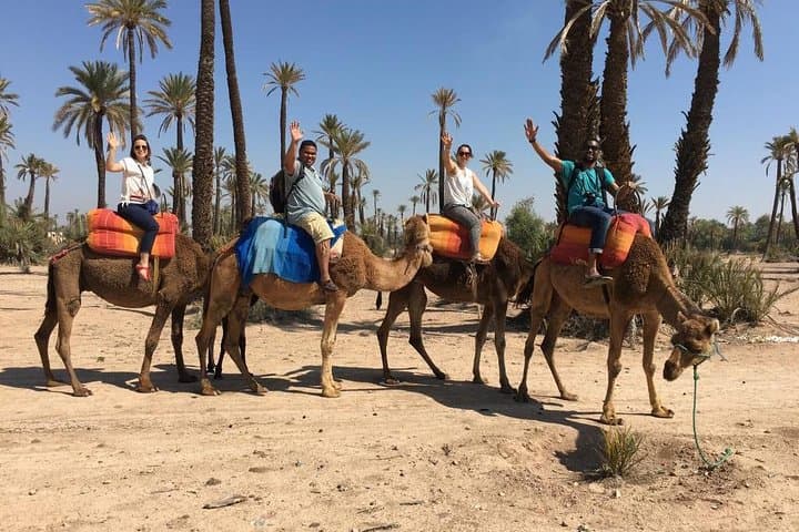 Quad and Camel Ride in Marrakech's Palmeraie — Half-Day ATV & Camel Excursion photo 4