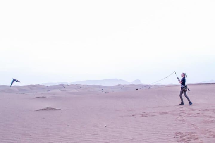 Morning Desert Safari Dubai: Sunrise Dune Bashing & Sandboarding photo 5