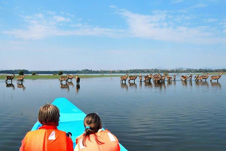 Five-Day Private Safari: Hell's Gate, Naivasha, Nakuru & Masai Mara photo 4